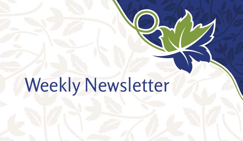 Weekly Resident and Family Letter – 17 Nov 21